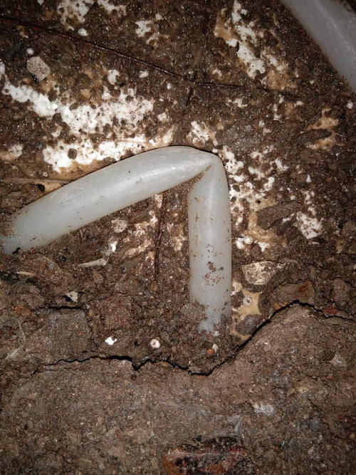 尼木堵点精准查找